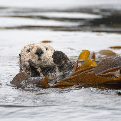 Alaskan Sunrise Photography Tour | A Whale's Song Expedition